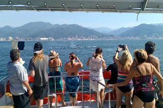 Ver foto 2